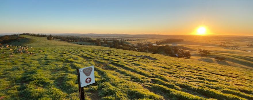 Clare Valley Wine and Wilderness Trail