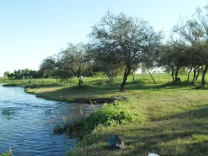 Costa Golondrina