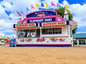 Shiawassee County Ag Society - DBA: Shiawassee County Fair