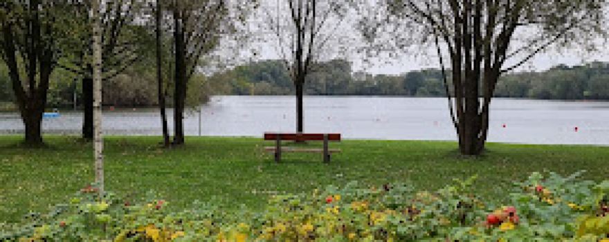 Sander See