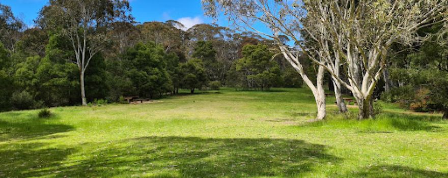 Bulls Head Picnic Area