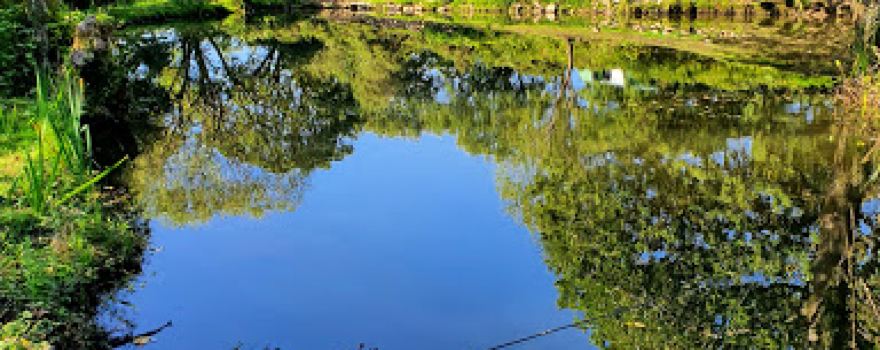 Blackmountain fishing and camping