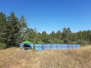 Lesnaya Skazka Gbu Tso "Tspv" Detskiy Lager'