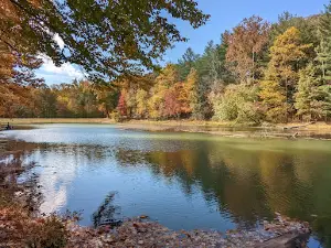 Morgan-Monroe State Forest