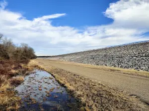 Wright Patman Lake