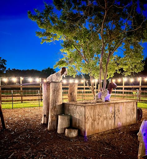 Turquoise Acres Ranch