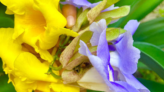 Healing Hands Massage & Salon