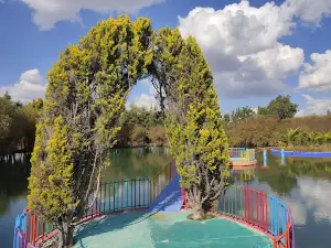 Acqua Bela