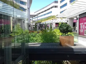 Monciné Béziers