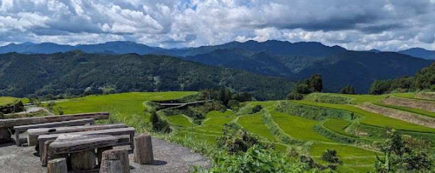 Takasu Rice Terrace