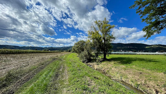 BOTANIČNI VRT UNIVERZE V MARIBORU