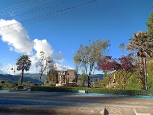 Madre - Saraguro Park