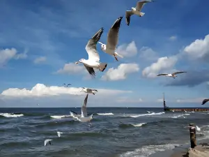 Plaża w Dziwnówku