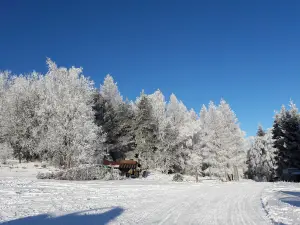 Lyžiarské Stredisko Búče-Renčišov