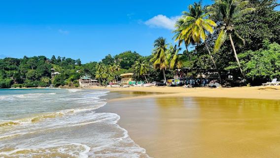 Castara Beach