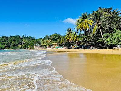 Castara Beach