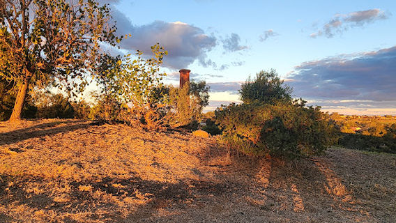 Bushmans Hill Reserve