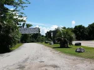 Dinosaur Park