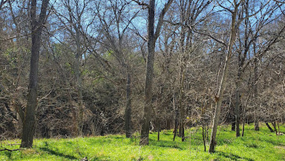 Schertz
