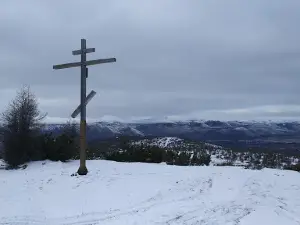 Чукотское Лесничество