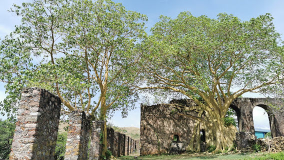 Acueducto Taxco el viejo