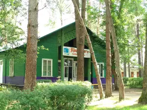 Star Children's Camp