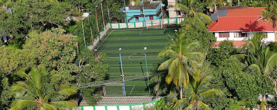 V CLASICO TURF