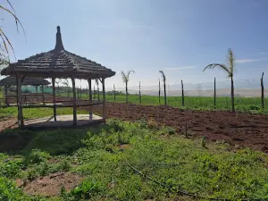 Ferme Chlihat chez Laila