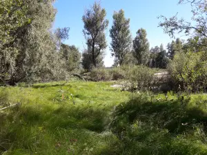 Massiv Starosemeykino