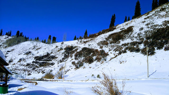 Pioneer Горный Курорт