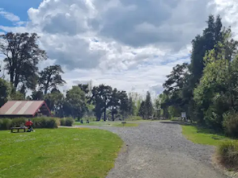 Awahuri Forest Kitchener Park