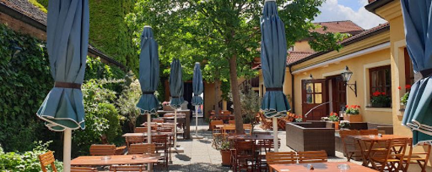 Weingut Steiner 67er
