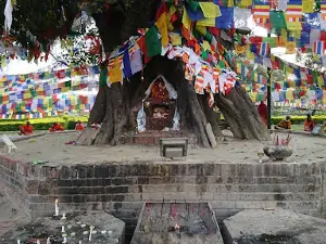 Lumbini Garden (ලුම්බිණි සල් උයන)