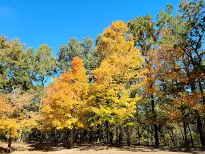 Jeff Busby Park