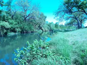 Coleman City Park