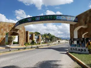 arco de bievenida