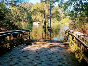 Blue Run of Dunnellon Park