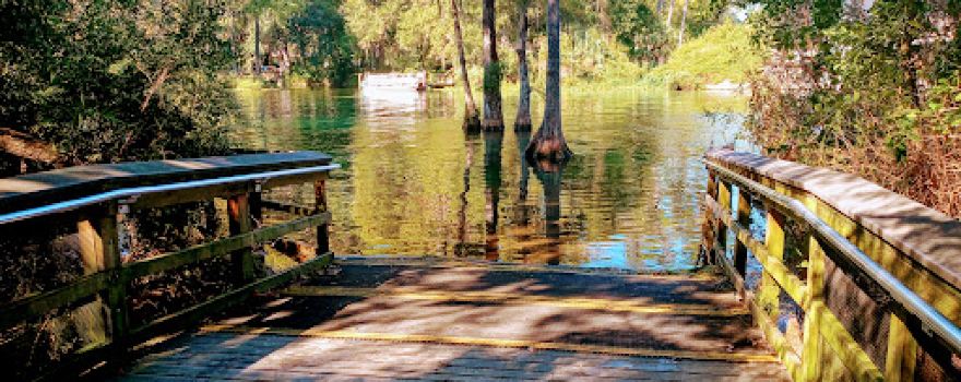 Blue Run of Dunnellon Park