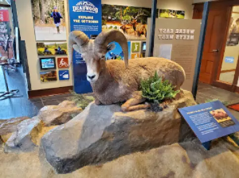 Deadwood Welcome Center