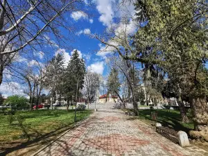 Park