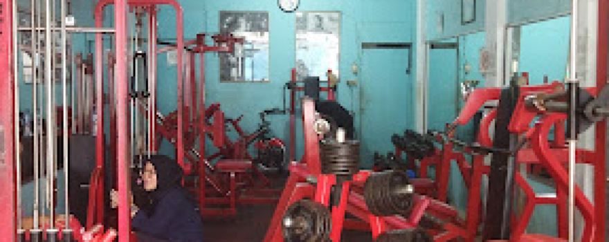 Honey Gym