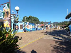 Central Park