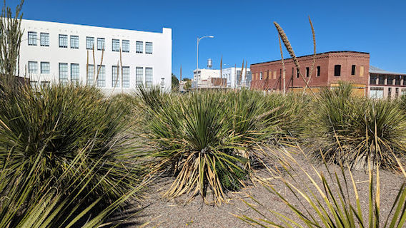 Ayn Foundation Marfa