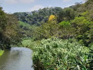 グアトポ国立公園