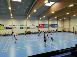 Slalom Påminne