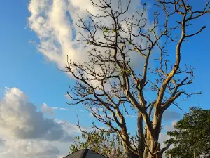 Pantai Pertamina