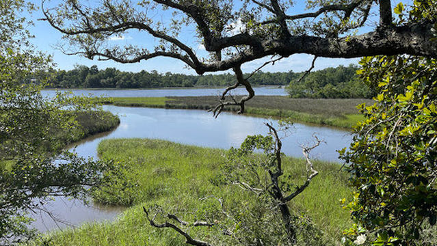Davis Bayou Campground