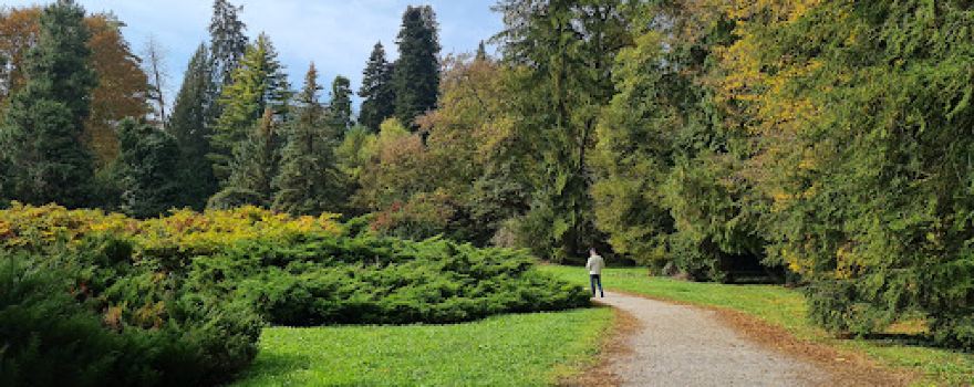 Opeka Arboretum