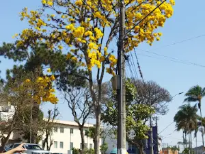 Square Of Post