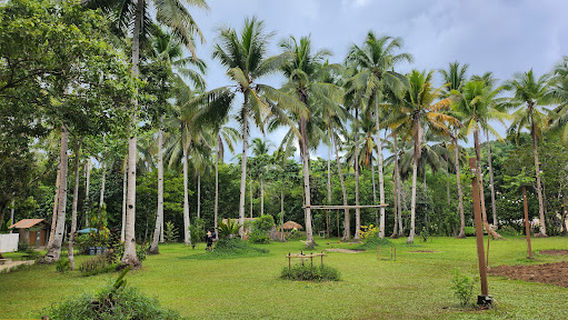 The Island Nature Spring